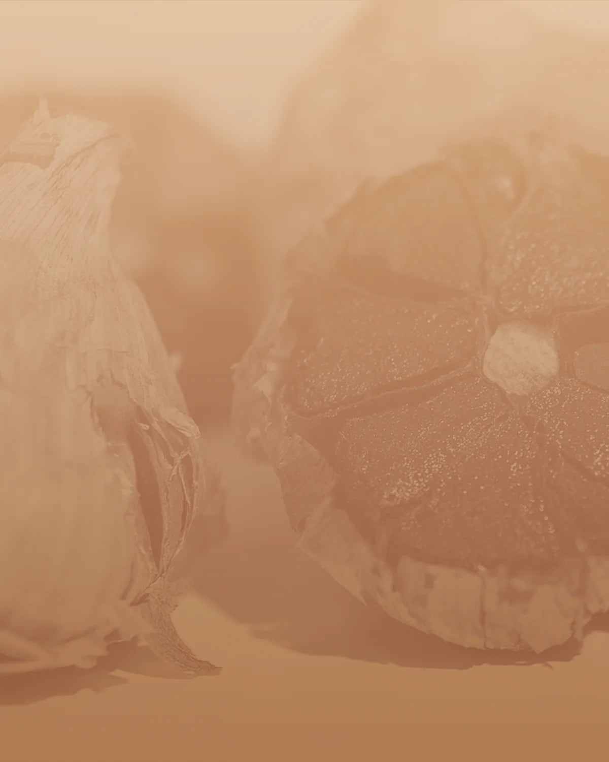The Aged Garlic Science Has Studied for 30 Years