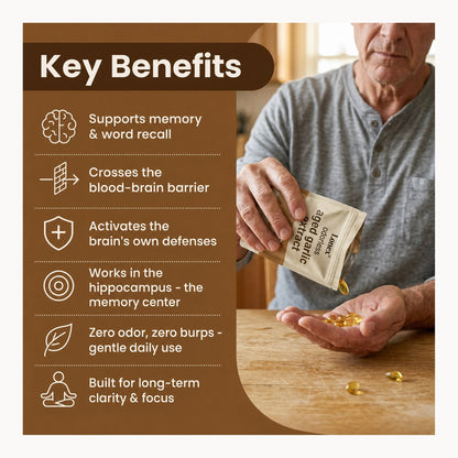 LONEX Key Benefits — memory, blood-brain barrier, hippocampus